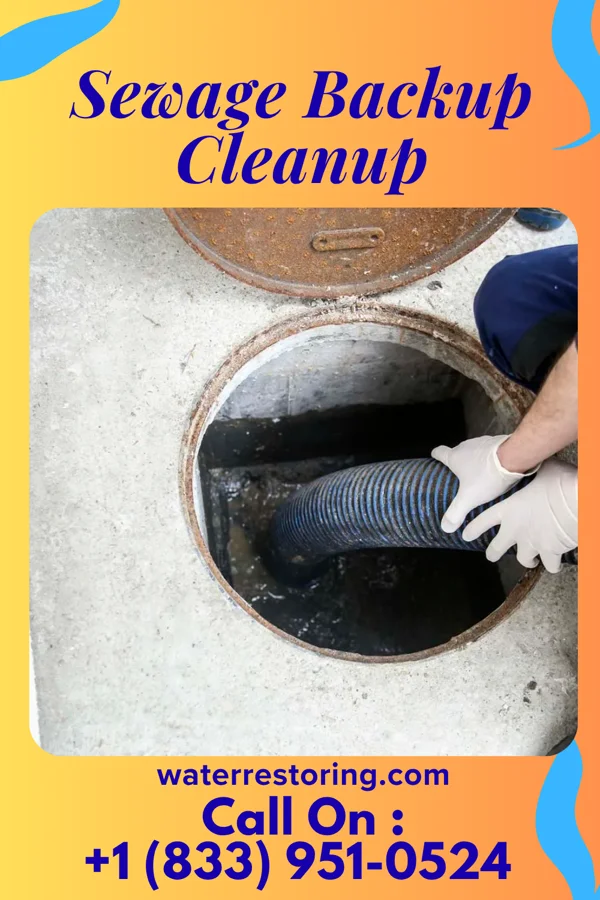 Sewage Backup Cleanup in Barrelville, MD