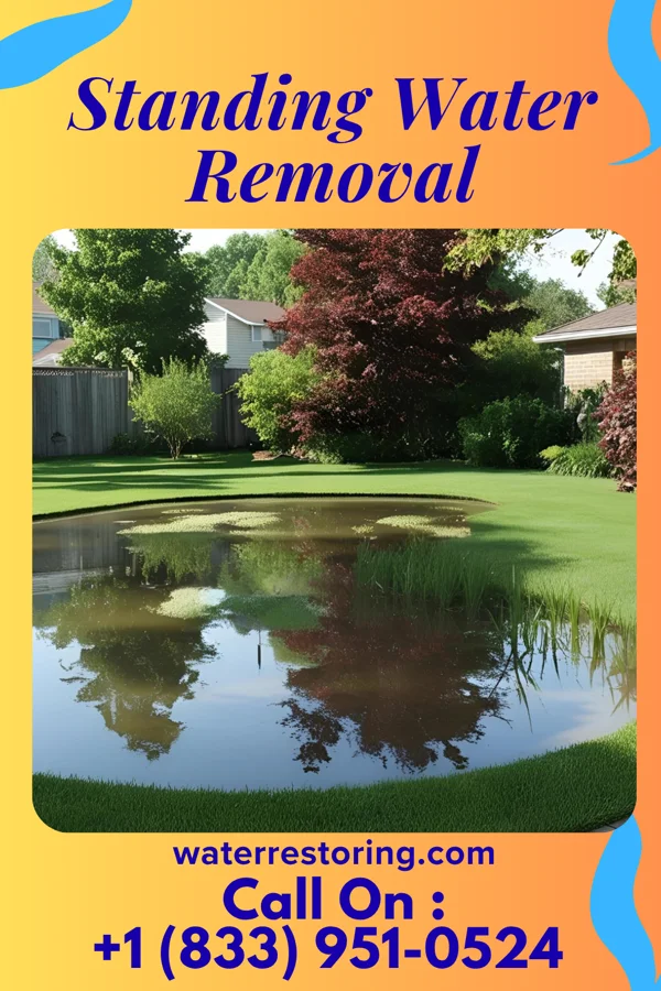 Standing Water Removal in Barrelville, MD